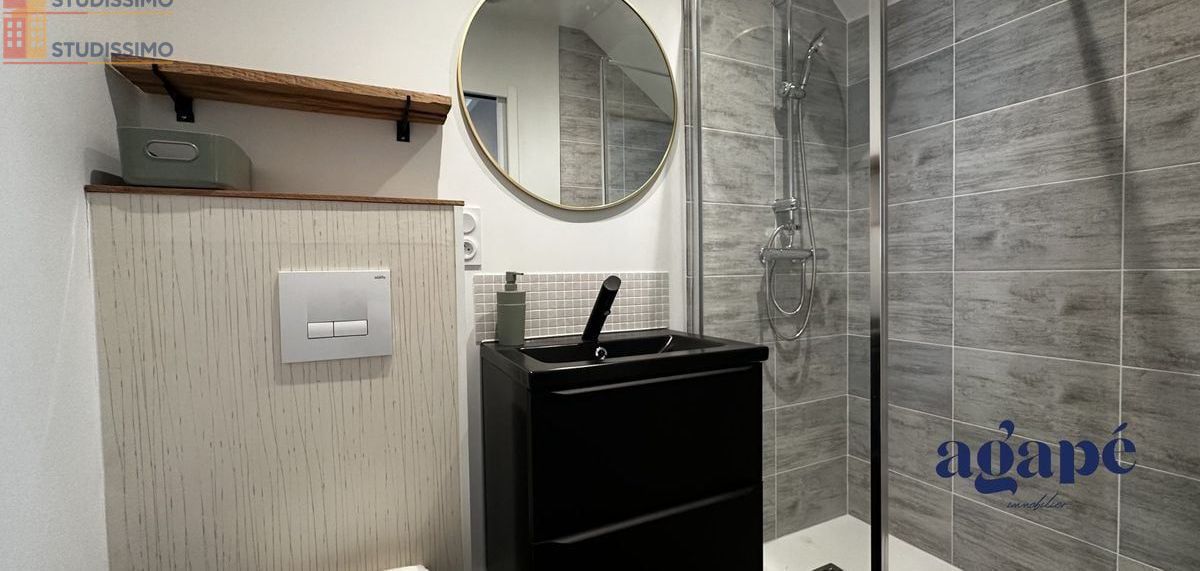 Studio meublé 34m² Nevers 58000 - Meublé, DPE D - Photo 5