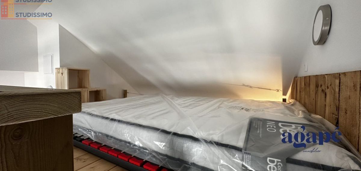 Studio meublé 34m² Nevers 58000 - Meublé, DPE D - Photo 4