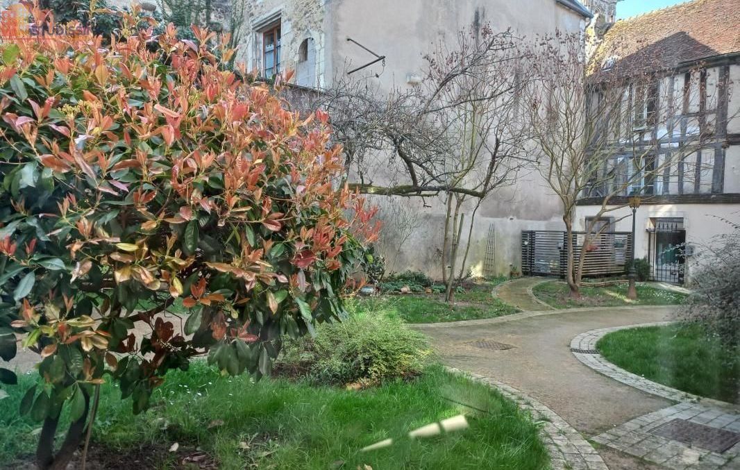 Studio 34m² Clamecy - 1 pièce - Photo 2