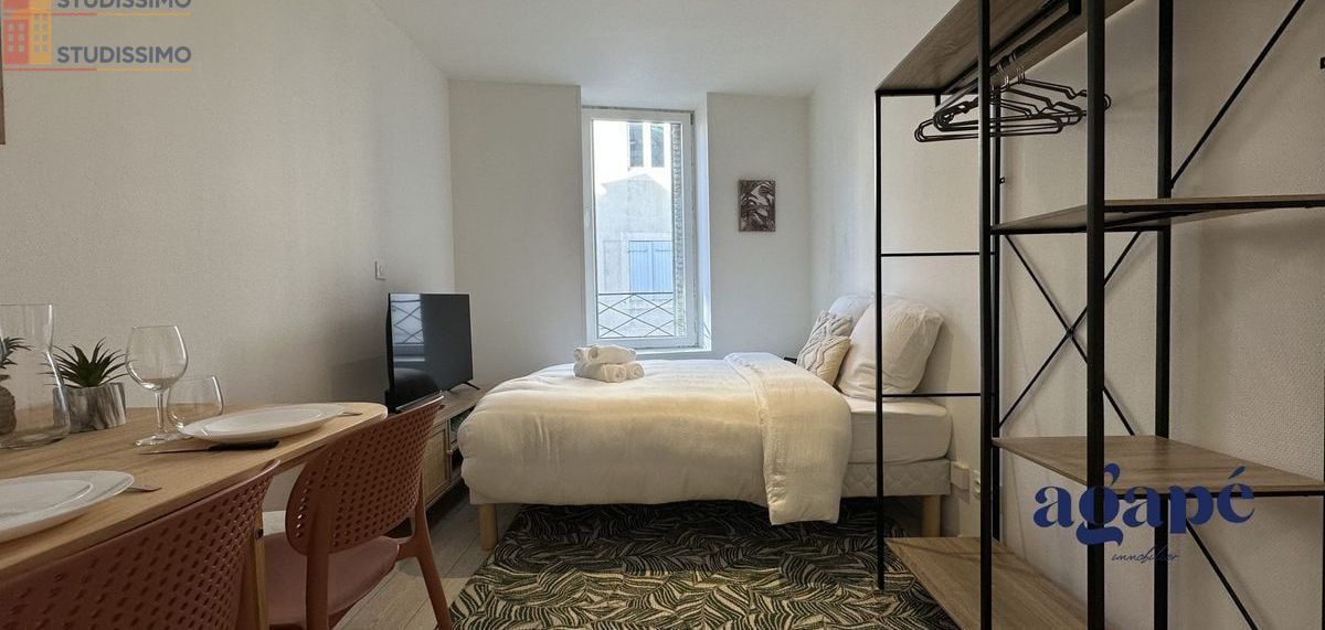 Studio meublé 21m² Nevers - Meublé, DPE C - Photo 19