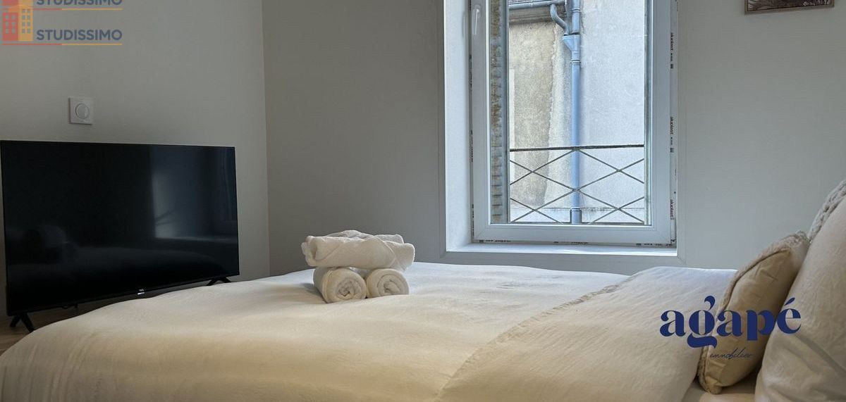 Studio meublé 21m² Nevers - Meublé, DPE C - Photo 14