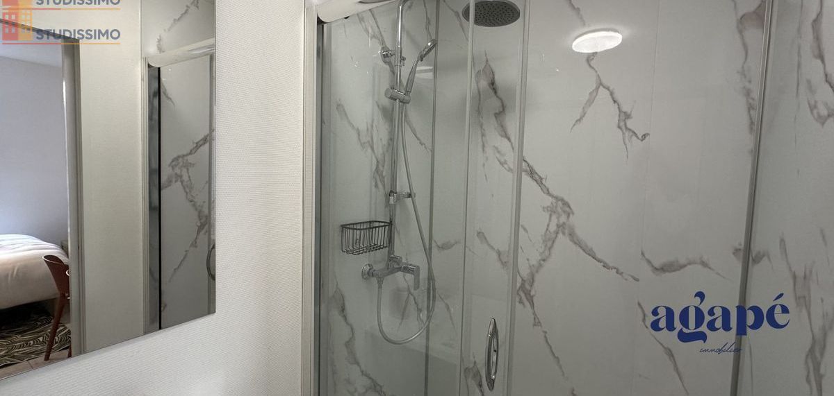 Studio meublé 21m² Nevers - Meublé, DPE C - Photo 6