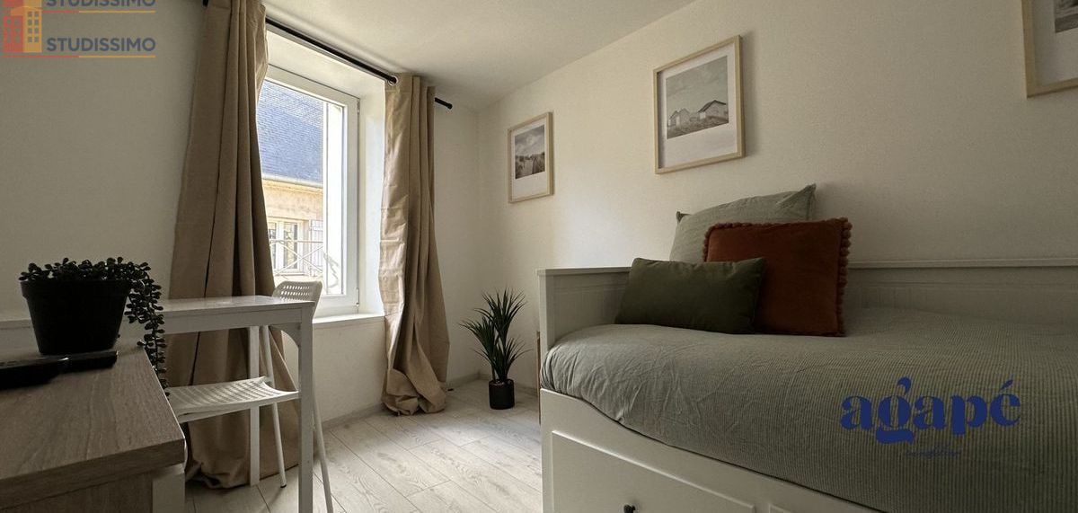 Studio meublé 19m² Nevers - Meublé, DPE C - Photo 10