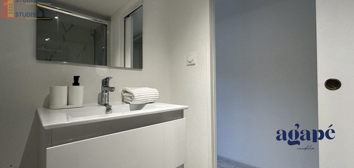 Studio meublé 19m² Nevers - Meublé, DPE C - Photo 8