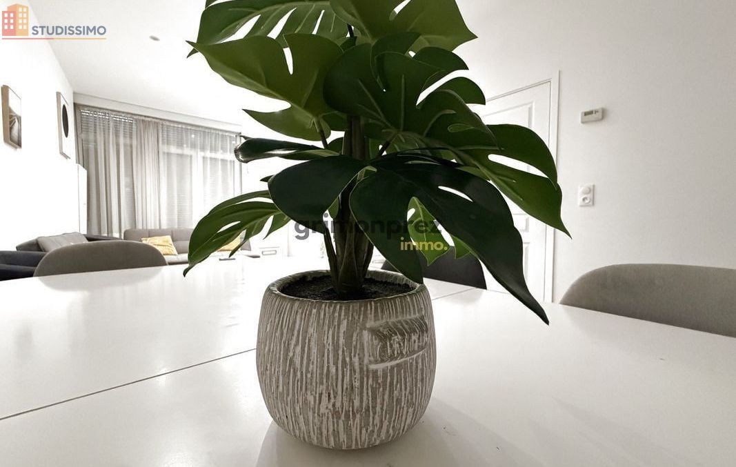 Studio 13m² Roubaix 59100 - Meublé, DPE D - Photo 15