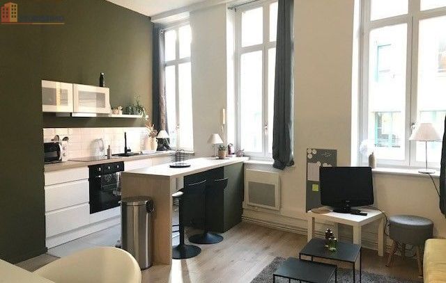 Studio meublé 25m² Lille 59800 - Meublé, DPE C - Photo 8