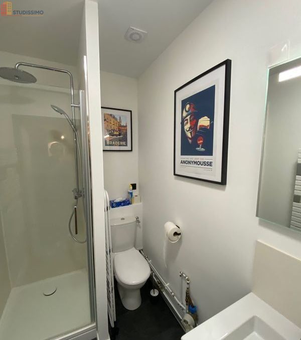 Studio meublé 25m² Lille centre - Rénové, au coeur du Vieux-Lille - Photo 6