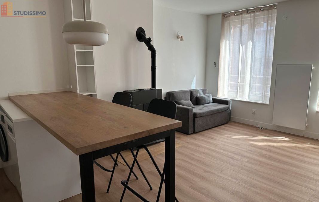 Studio 40m² Lille 59000 - Chambre séparée, lumineux - Photo 9