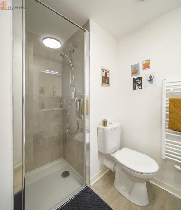 Studio meublé 18m² Villeneuve-d'Ascq - Meublé, 1 pièce - Photo 1