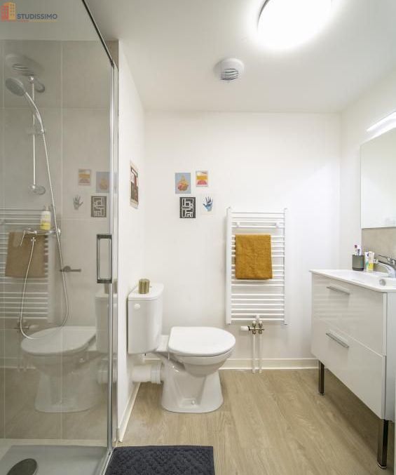 Studio meublé 18m² Villeneuve-d'Ascq - Meublé, 1 pièce - Photo 2