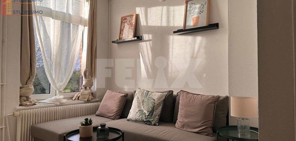 Studio meublé 19m² Lille 59000 - Meublé, DPE D - Photo 8