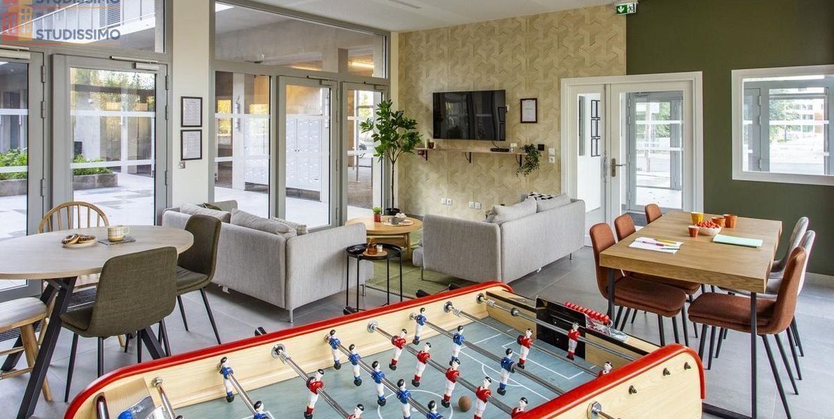 Studio 17m² Villeneuve-d'Ascq - Meublé, DPE C - Photo 11