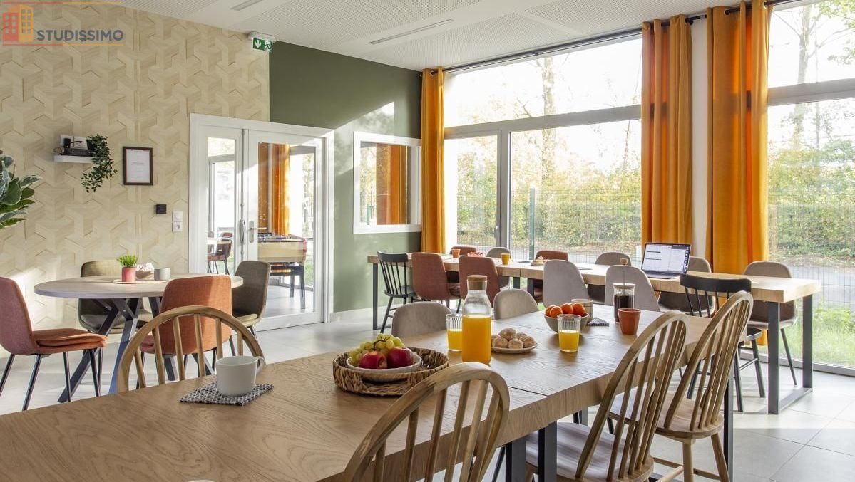 Studio 17m² Villeneuve-d'Ascq - Meublé, DPE C - Photo 4