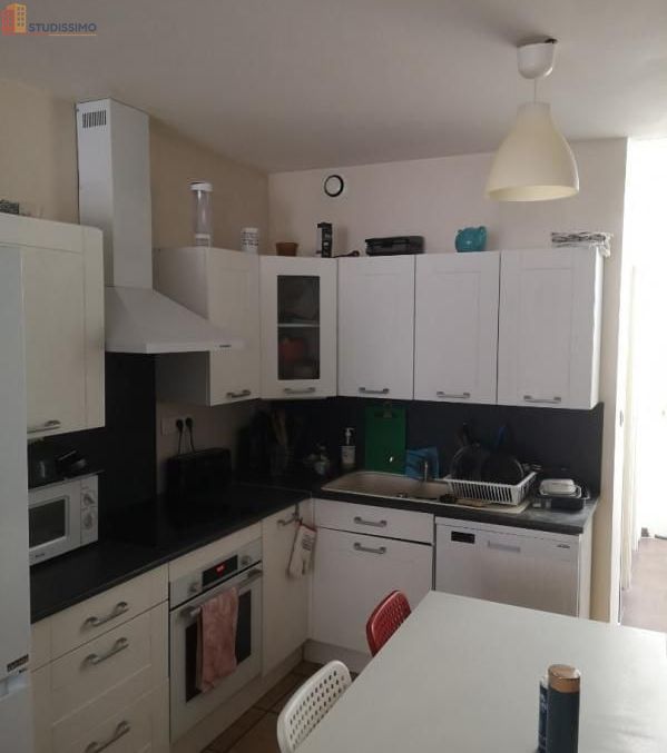 Studio meublé 11m² Lambersart - Meublé, lumineux - Photo 3