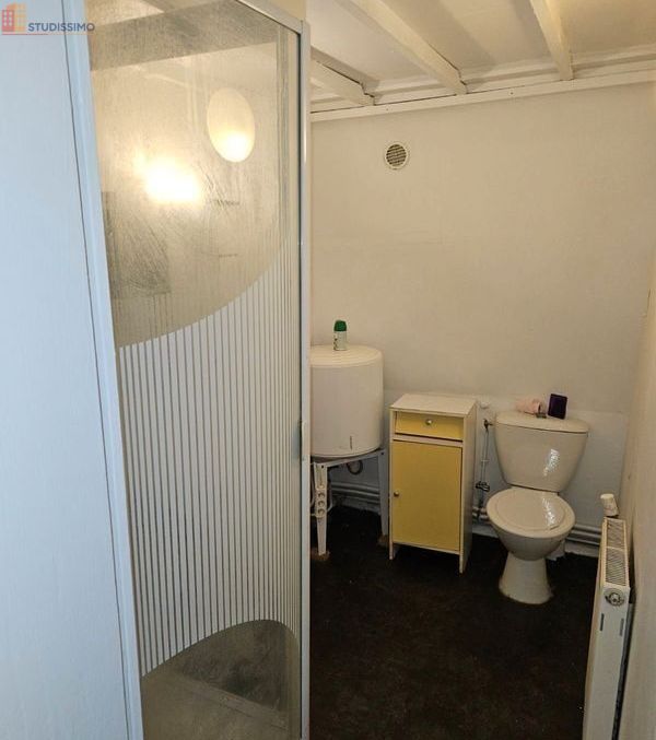 Studio meublé 23m² Roubaix - Quartier Beaumont, lumineux - Photo 1