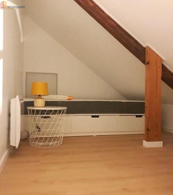 Studio meublé 21m² Lille 59000 - Duplex, lumineux - Photo 3