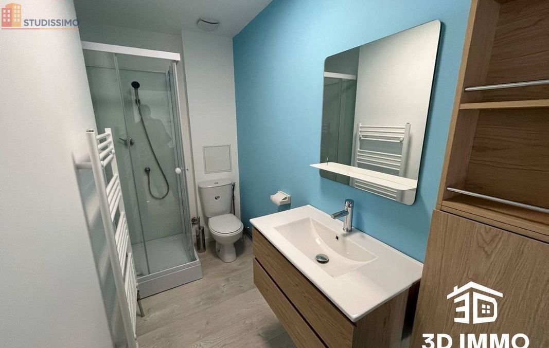 Studio 33m² Avesnes-sur-Helpe - Meublé, DPE D - Photo 6