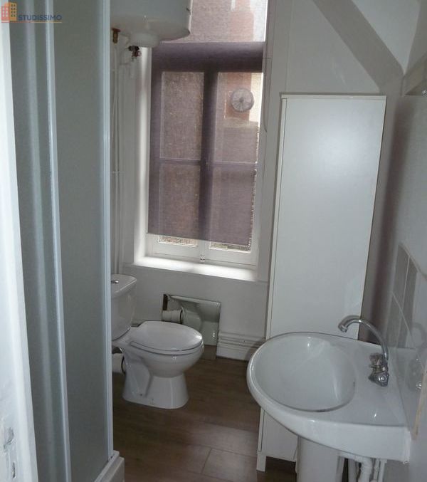 Studio meublé 21m² Lille centre - Lumineux, meublé - Photo 2