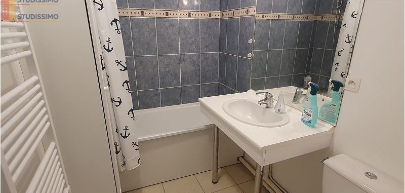 Studio 23m² Faches-Thumesnil - Lumineux - Photo 6
