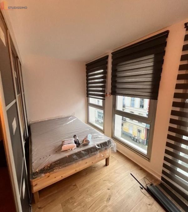 Studio 27m² Lille 59000 - Meublé, DPE D - Photo 9