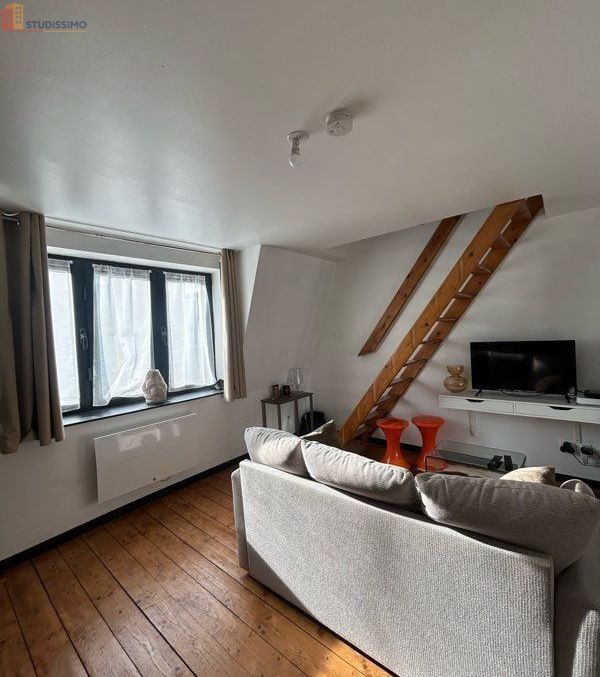 Studio meublé 19m² Lille 59800 - Meublé, 2e étage - Photo 3