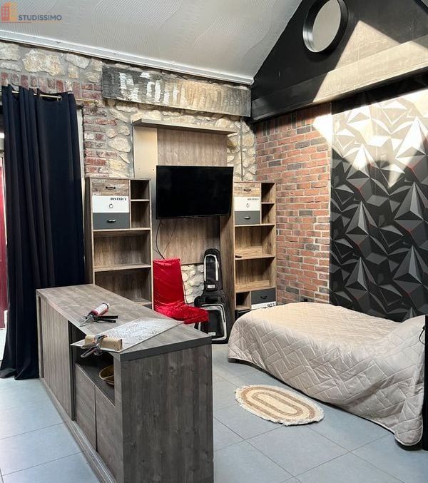 Studio 50m² Crèvecoeur-sur-l'Escaut - Meublé, confortable - Photo 3