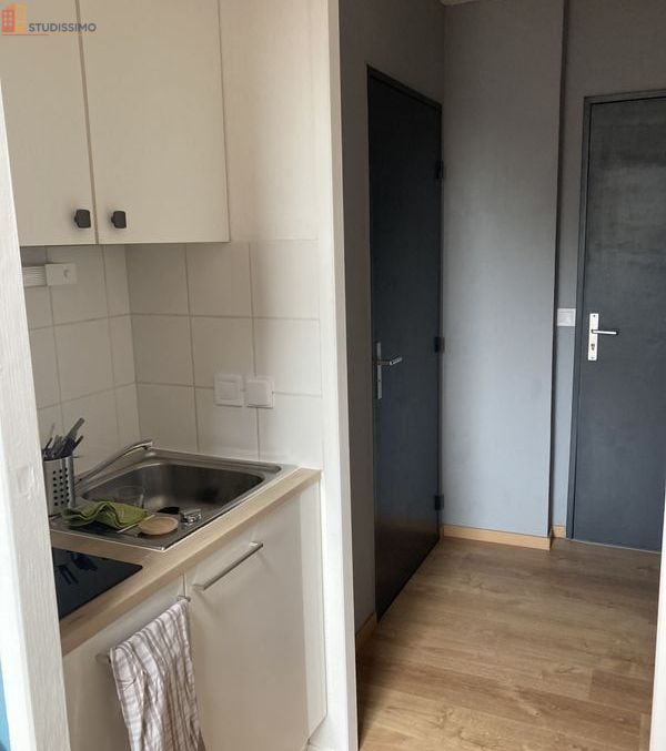 Studio meublé 26m² Lille 59000 - Appartement lumineux, DPE D - Photo 11