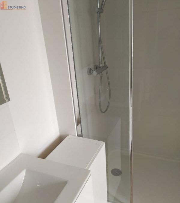 Studio meublé 18m² Lille 59000 - Meublé, DPE D - Photo 1
