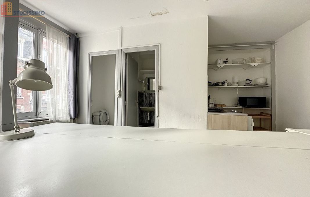 Studio meublé 25m² Lille centre - Meublé, 1 pièce - Photo 10