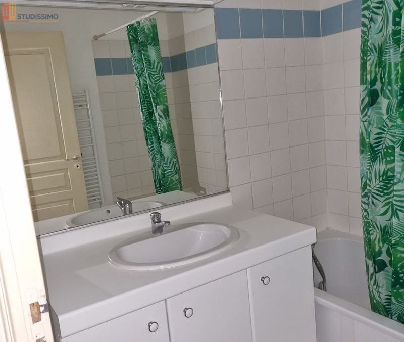 Studio meublé 26m² Lille Sébastopol - Calme et lumineux - Photo 1
