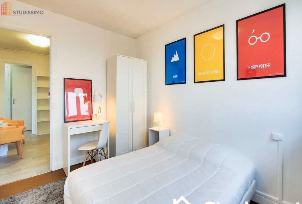 Studio meublé 9m² Lille 59800 - Étage élevé, lumineux - Photo 11