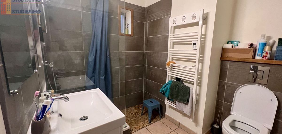 Studio 32m² Pont-d'Ain - 1 pièce - Photo 6