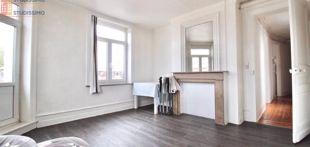 Studio 50m² Lille 59800 - Meublé, 2 chambres - Photo 3