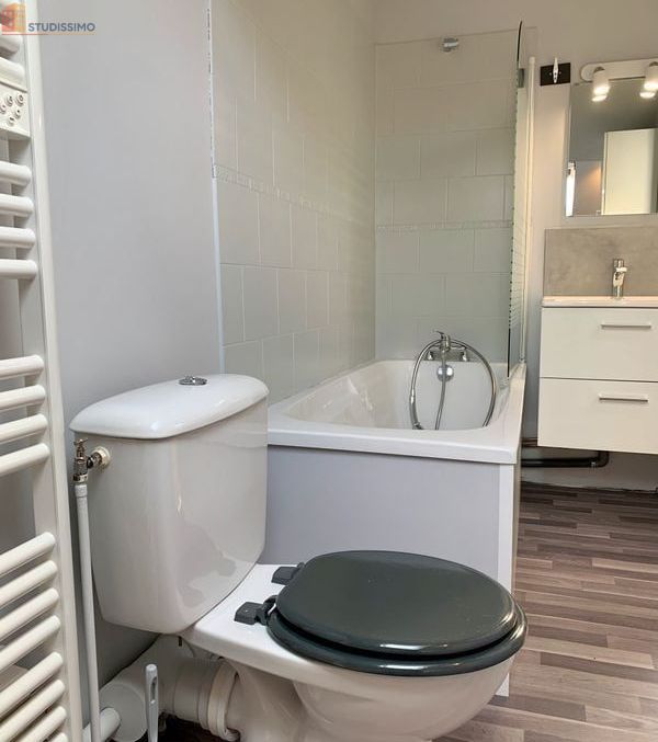 Studio meublé 20m² Lille centre - Proche métro, mansardé - Photo 1