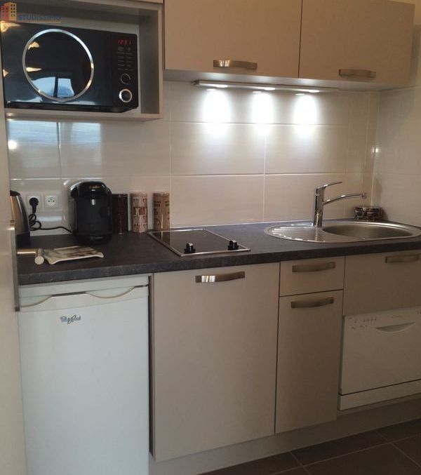 Studio 31m² Ferney-Voltaire - Grand, refait à neuf - Photo 2