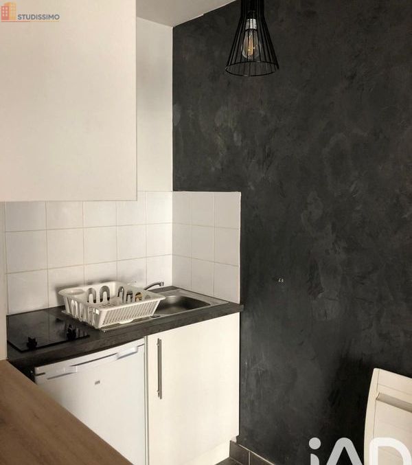 Studio meublé 30m² Lille 59000 - Lumineux, DPE C - Photo 2
