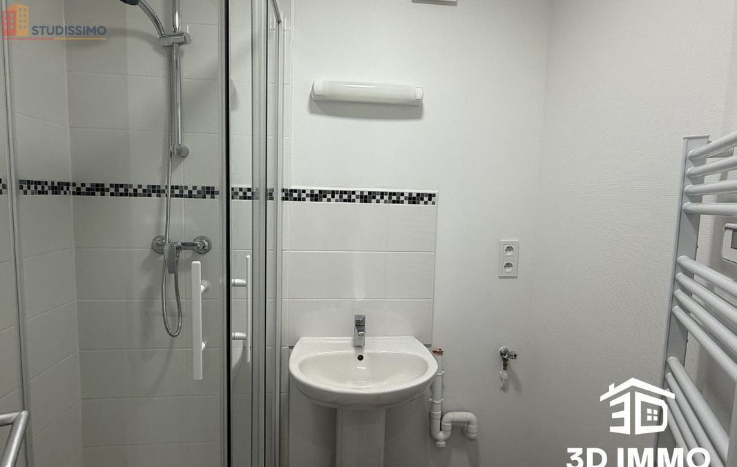 Studio 39m² Avesnes-sur-Helpe - Lumineux - Photo 1
