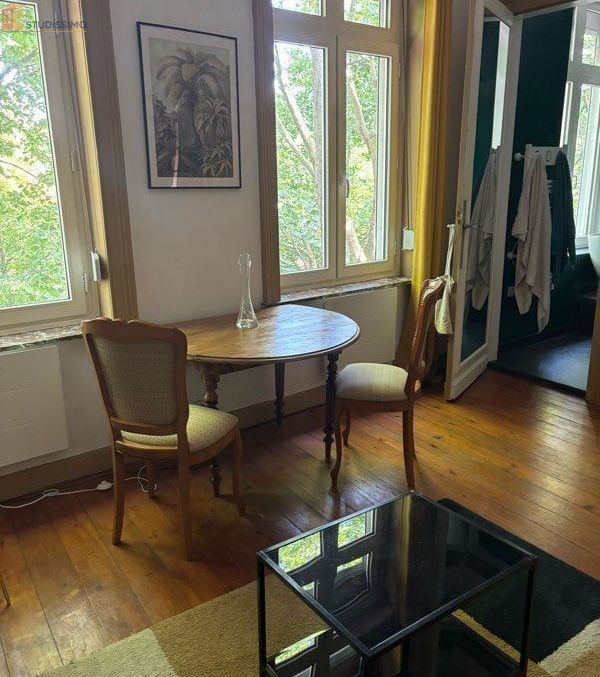Studio 26m² Lille 59000 - Vue parc, meublé - Photo 4