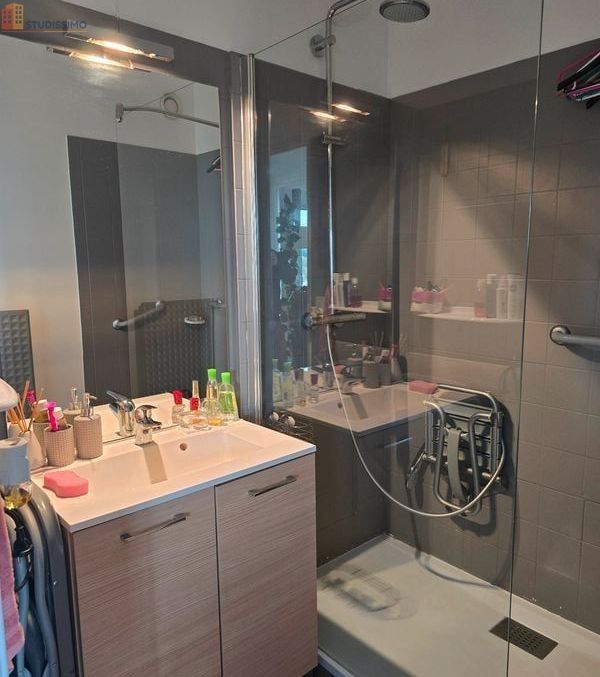 Studio 29m² Bellerive-sur-Allier - Lumineux, DPE D - Photo 6