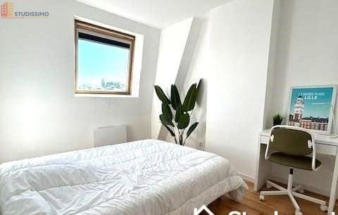 Studio meublé 10m² Lambersart - Calme, lumineux - Photo 2