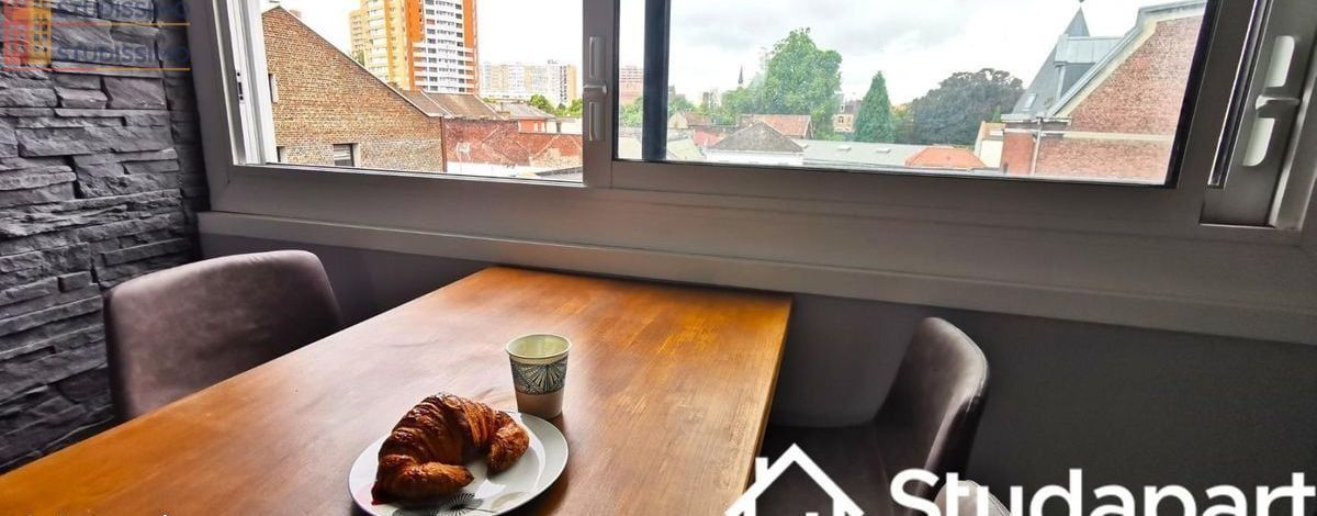 Studio meublé 12m² Roubaix - Meublé, au 3e étage - Photo 4
