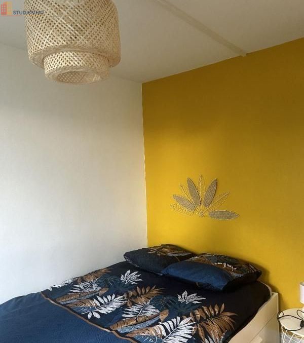 Studio meublé 10m² Villeneuve-d'Ascq - Meublé, 4e étage - Photo 2