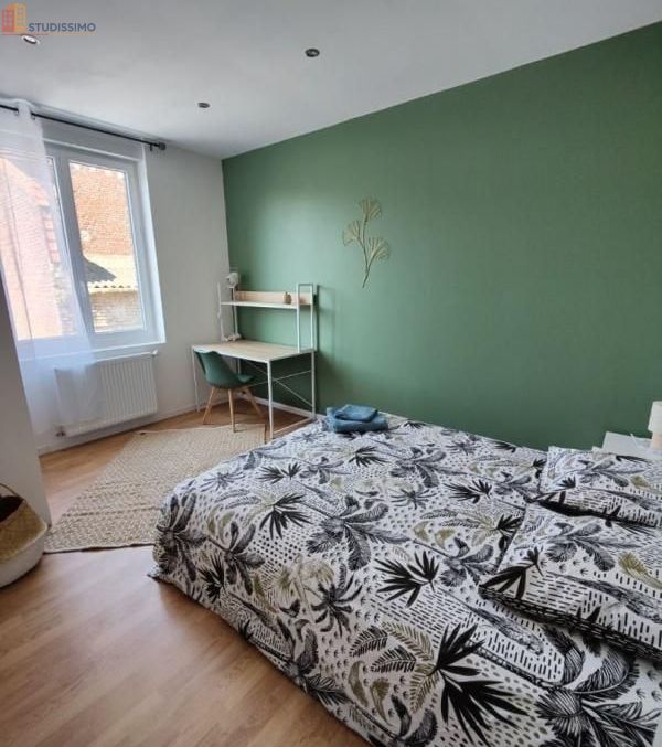 Studio meublé 15m² Faches-Thumesnil - Meublé, 1 pièce - Photo 2