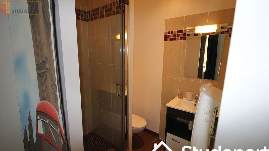 Studio meublé 28m² Lille 59800 - Meublé, DPE A - Photo 9