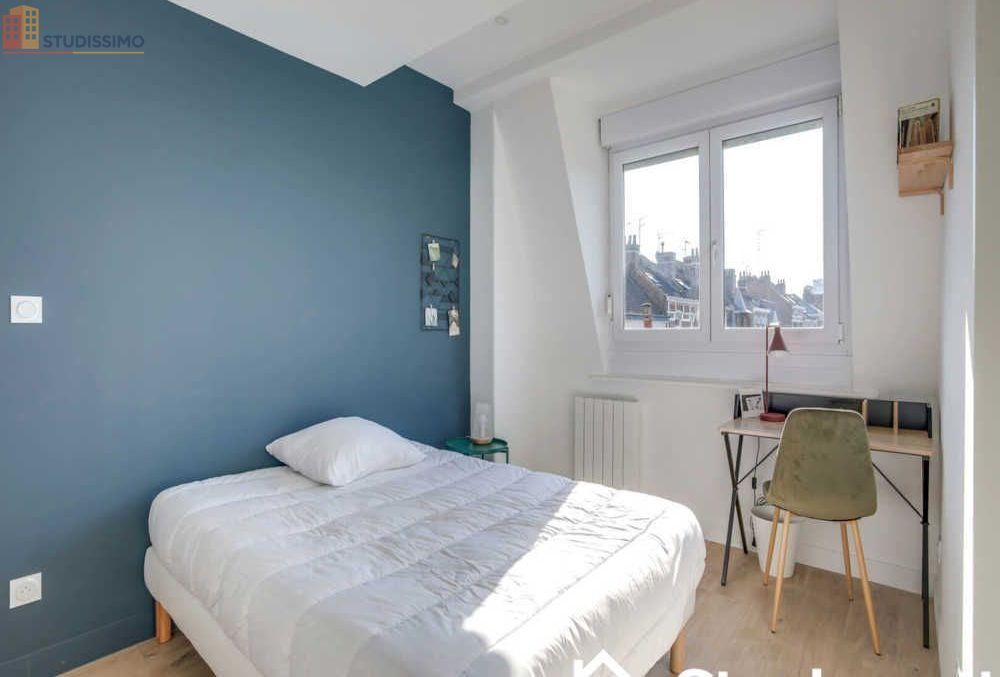 Studio 12m² Lille 59000 - Meublé, DPE D - Photo 4