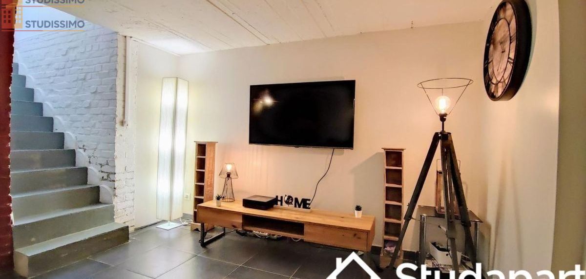 Studio meublé 14m² Loos - Meublé, DPE A - Photo 3