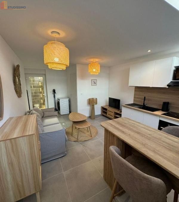 Studio 20m² Roubaix - Meublé, DPE C - Photo 5