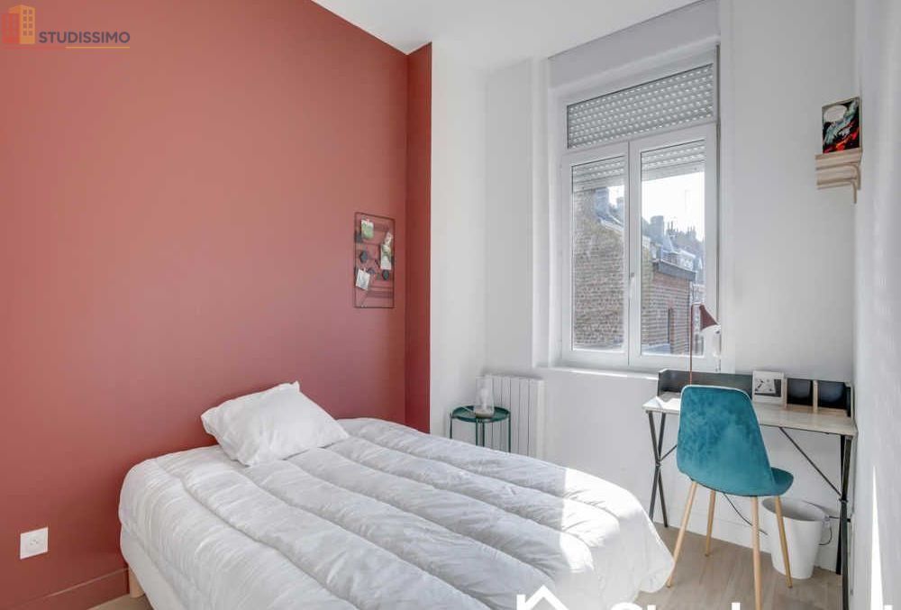 Studio meublé 13m² Lille - Calme, lumineux - Photo 8