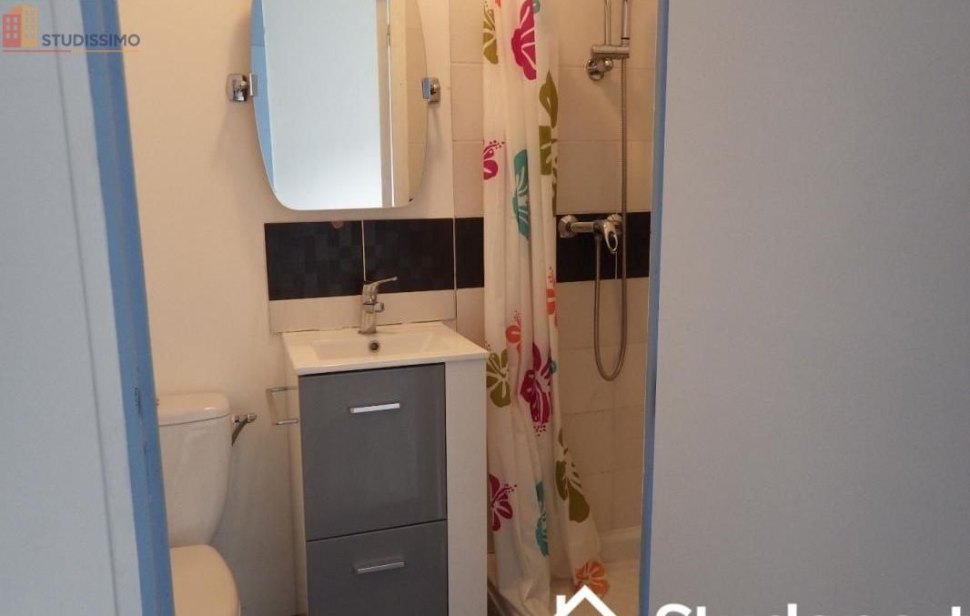 Studio meublé 20m² Lille 59800 - Meublé, DPE D - Photo 6