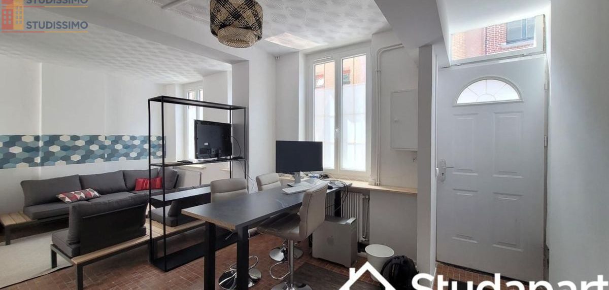 Studio meublé 12m² Roubaix - Meublé, DPE D - Photo 9